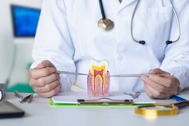 Best Cosmetic Emergency Dentistry in Selma, NC